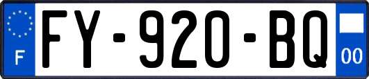 FY-920-BQ