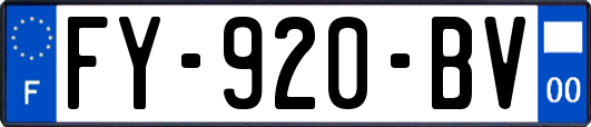 FY-920-BV