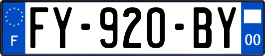 FY-920-BY