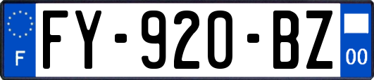 FY-920-BZ