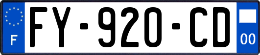 FY-920-CD