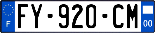 FY-920-CM