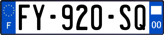 FY-920-SQ
