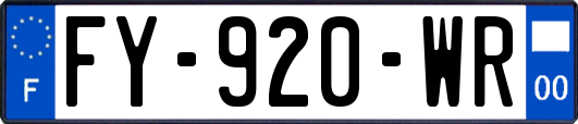 FY-920-WR