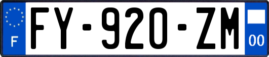 FY-920-ZM