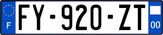 FY-920-ZT