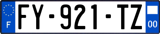 FY-921-TZ