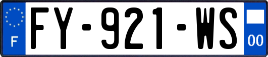FY-921-WS