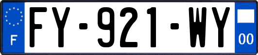 FY-921-WY