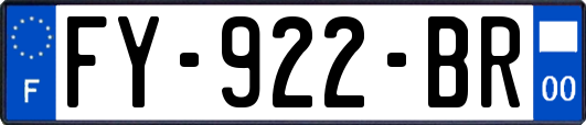 FY-922-BR