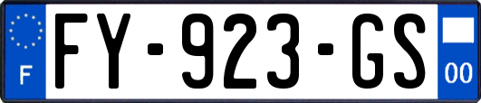 FY-923-GS