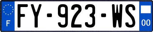 FY-923-WS