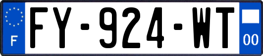 FY-924-WT