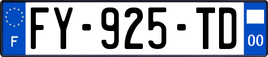 FY-925-TD