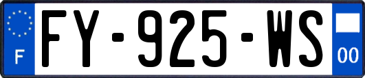 FY-925-WS