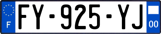 FY-925-YJ