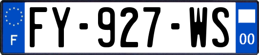 FY-927-WS