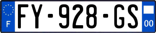 FY-928-GS
