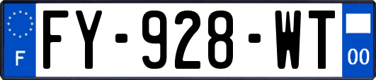 FY-928-WT