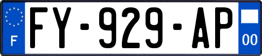 FY-929-AP