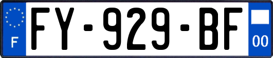 FY-929-BF