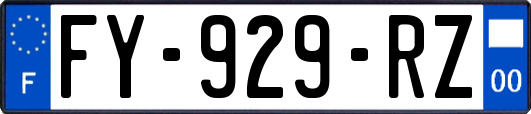 FY-929-RZ