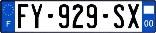 FY-929-SX