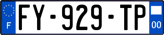 FY-929-TP