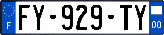 FY-929-TY