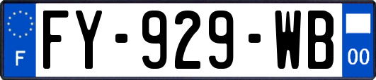 FY-929-WB
