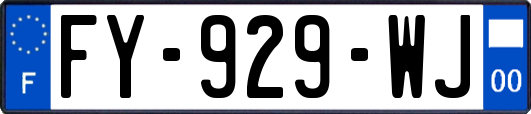 FY-929-WJ