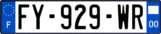 FY-929-WR