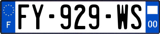 FY-929-WS