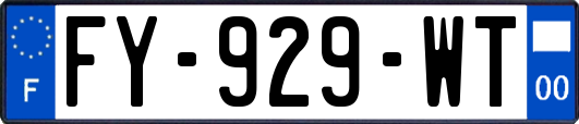 FY-929-WT