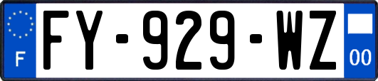 FY-929-WZ