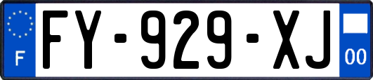 FY-929-XJ