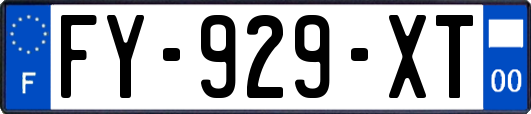 FY-929-XT