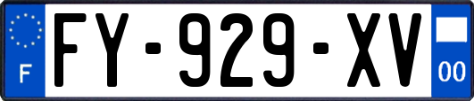 FY-929-XV