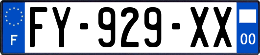 FY-929-XX