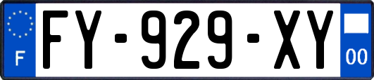 FY-929-XY