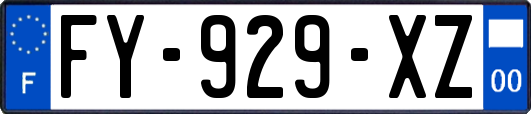 FY-929-XZ