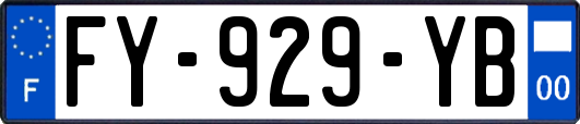 FY-929-YB