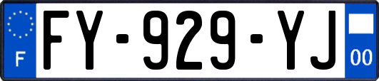 FY-929-YJ