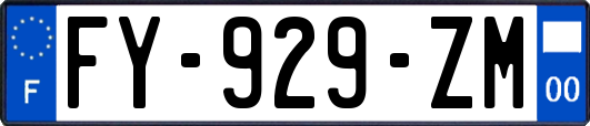 FY-929-ZM