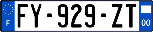 FY-929-ZT