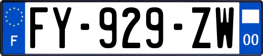 FY-929-ZW