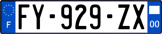 FY-929-ZX