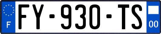 FY-930-TS
