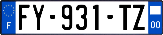 FY-931-TZ