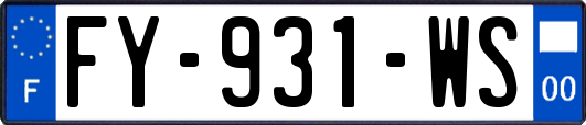 FY-931-WS